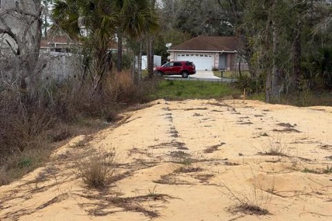 Land in Poinciana, Florida № 2235365 - photo 23