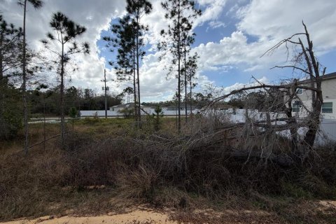 Land in Poinciana, Florida № 2235365 - photo 17