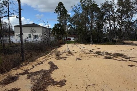 Land in Poinciana, Florida № 2235365 - photo 22