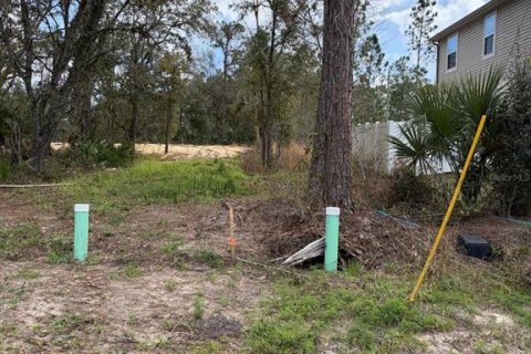Land in Poinciana, Florida № 2235365 - photo 19