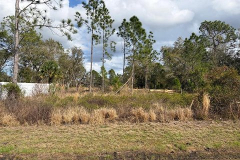 Terreno en Poinciana, Florida № 2235365