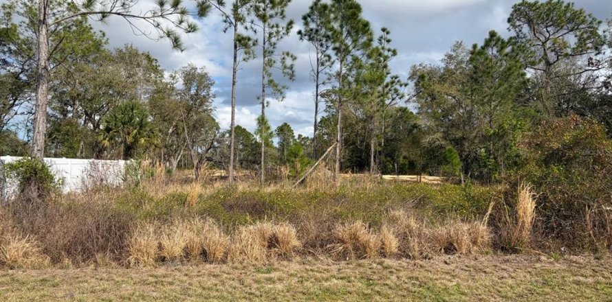 Land in Poinciana, Florida № 2235365