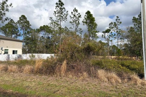 Land in Poinciana, Florida № 2235365 - photo 3