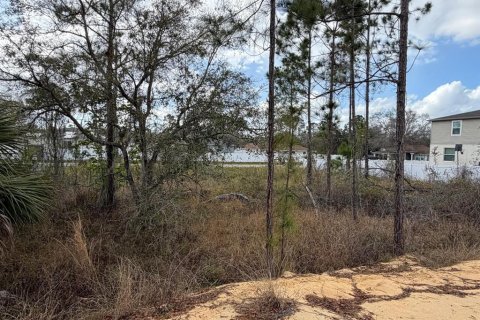 Land in Poinciana, Florida № 2235365 - photo 15