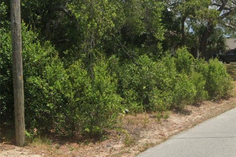 Land in Spring Hill, Florida № 1904519 - photo 1