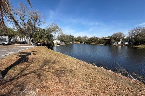 Condo in Tampa, Florida, 1 bedroom  № 2102785 - photo 15
