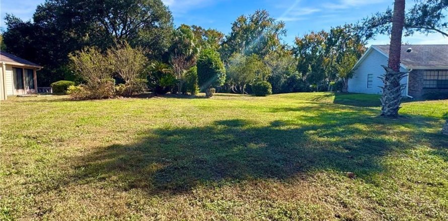 Земельный участок в Инвернесс, Флорида № 2164580