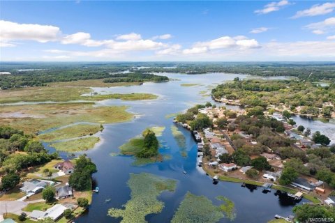 Купить земельный участок в Инвернесс, Флорида № 2164580 - фото 16