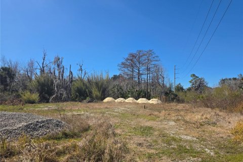 Land in Osteen, Florida № 2212774 - photo 5