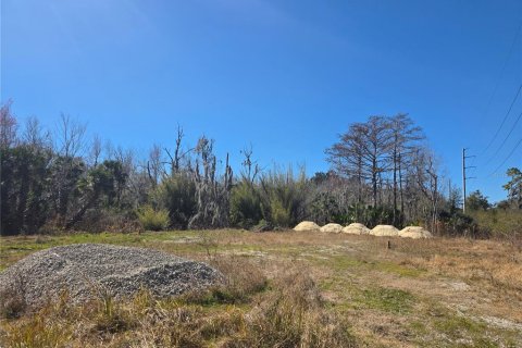 Land in Osteen, Florida № 2212774 - photo 2