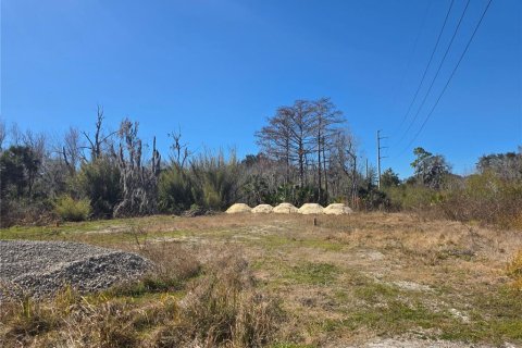 Land in Osteen, Florida № 2212774 - photo 4