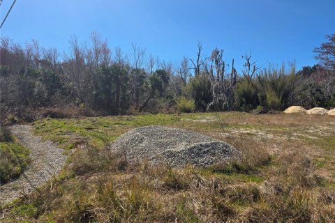 Land in Osteen, Florida № 2212774 - photo 7