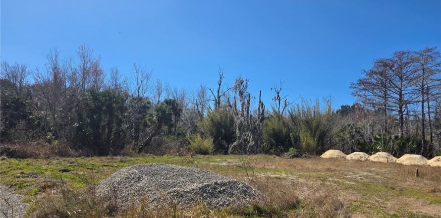 Land in Osteen, Florida № 2212774