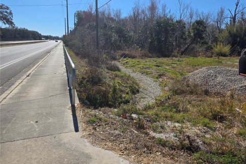 Land in Osteen, Florida № 2212774 - photo 6