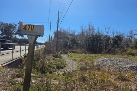 Land in Osteen, Florida № 2212774 - photo 3