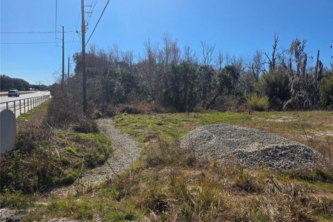 Land in Osteen, Florida № 2212774 - photo 8