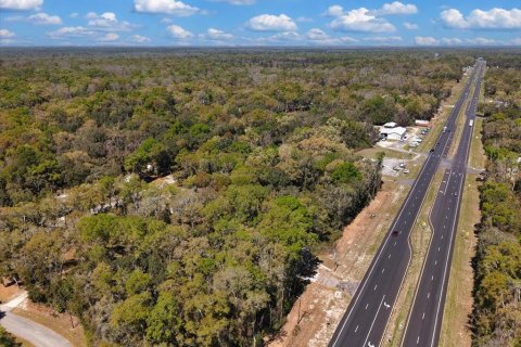 Immobilier commercial à vendre à Trenton, Floride: 52.03 m2 № 2098442 - photo 20