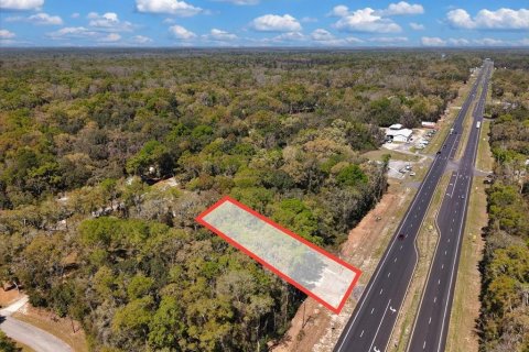 Immobilier commercial à vendre à Trenton, Floride: 52.03 m2 № 2098442 - photo 17