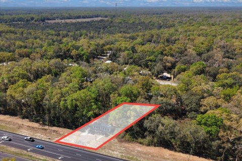 Immobilier commercial à vendre à Trenton, Floride: 52.03 m2 № 2098442 - photo 18