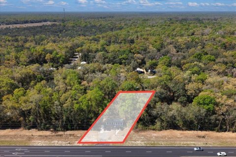 Immobilier commercial à vendre à Trenton, Floride: 52.03 m2 № 2098442 - photo 19