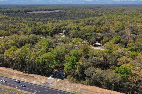 Immobilier commercial à vendre à Trenton, Floride: 52.03 m2 № 2098442 - photo 21