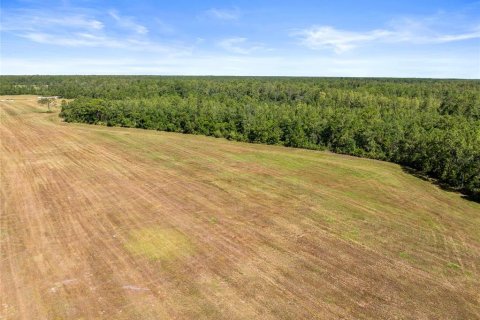 Land in Polk City, Florida № 1916409 - photo 7