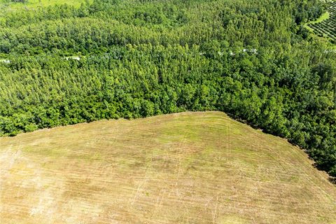 Land in Polk City, Florida № 1916409 - photo 6
