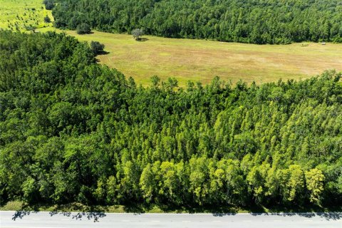Land in Polk City, Florida № 1916409 - photo 3