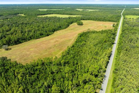 Land in Polk City, Florida № 1916409 - photo 9