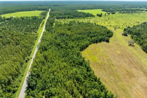 Land in Polk City, Florida № 1916409 - photo 5