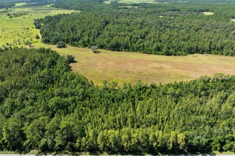 Land in Polk City, Florida № 1916409 - photo 2