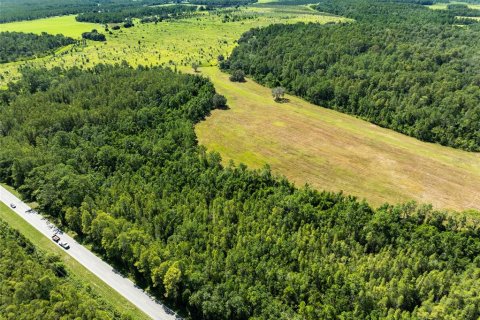 Land in Polk City, Florida № 1916409 - photo 4