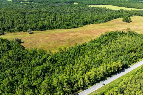 Land in Polk City, Florida № 1916409 - photo 10