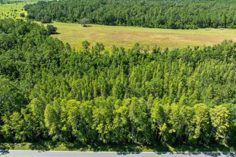 Land in Polk City, Florida № 1916409 - photo 11