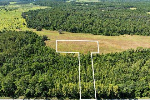 Land in Polk City, Florida № 1916409 - photo 1