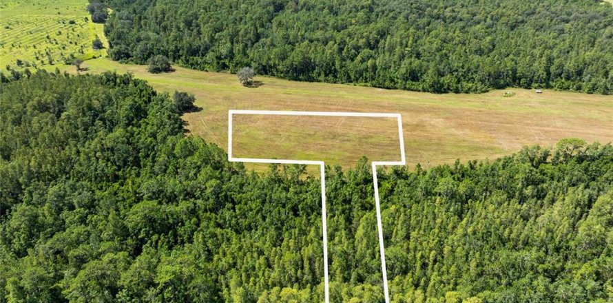 Land in Polk City, Florida № 1916409