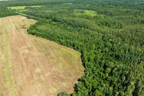 Land in Polk City, Florida № 1916409 - photo 8