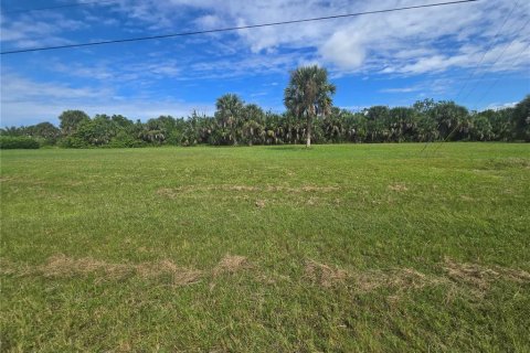 Land in Punta Gorda, Florida № 2160523 - photo 5