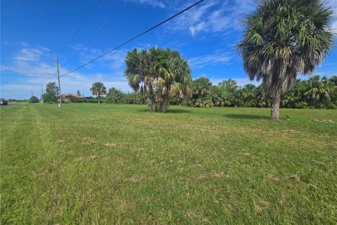 Land in Punta Gorda, Florida № 2160523 - photo 4