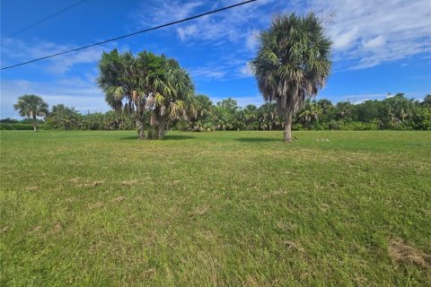 Land in Punta Gorda, Florida № 2160523 - photo 3