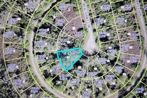 Terreno en venta en Lehigh Acres, Florida № 1865281 - foto 1