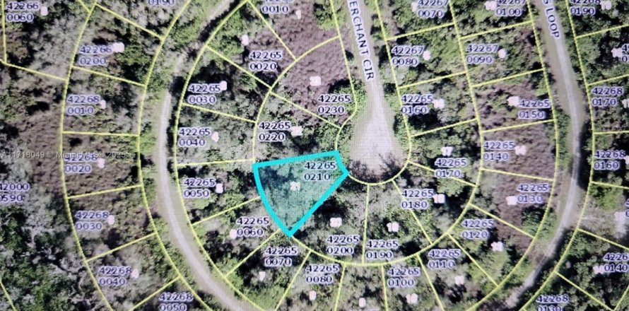 Terreno en Lehigh Acres, Florida № 1865281