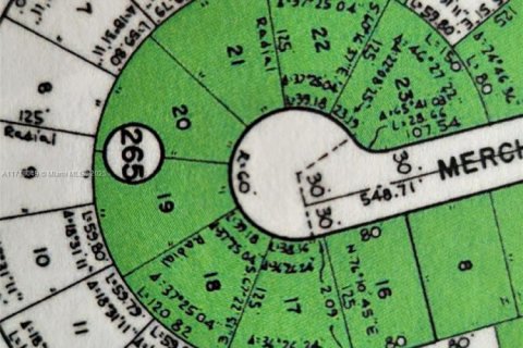 Terreno en venta en Lehigh Acres, Florida № 1865281 - foto 2