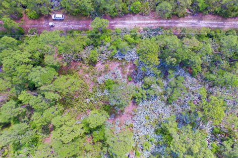 Commercial property in St. Lucie, Florida № 2146920 - photo 5