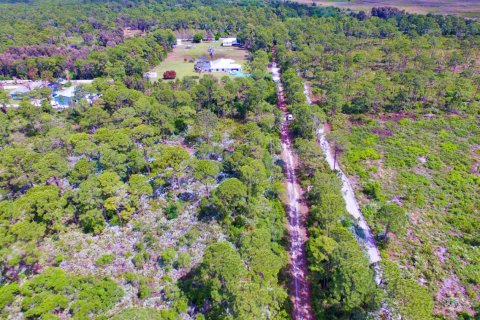 Commercial property in St. Lucie, Florida № 2146920 - photo 4