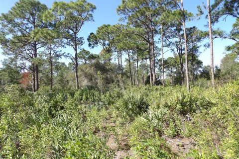 Commercial property in St. Lucie, Florida № 2146920 - photo 8