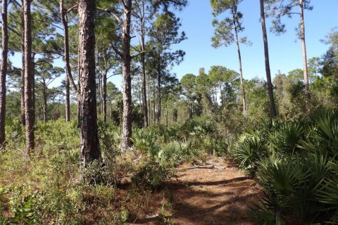 Commercial property in St. Lucie, Florida № 2146920 - photo 7