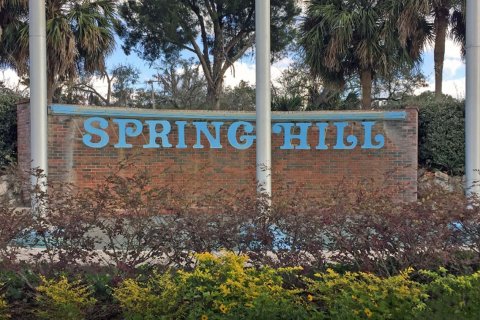 SPRING HILL in Spring Hill, Florida № 208175 - photo 1