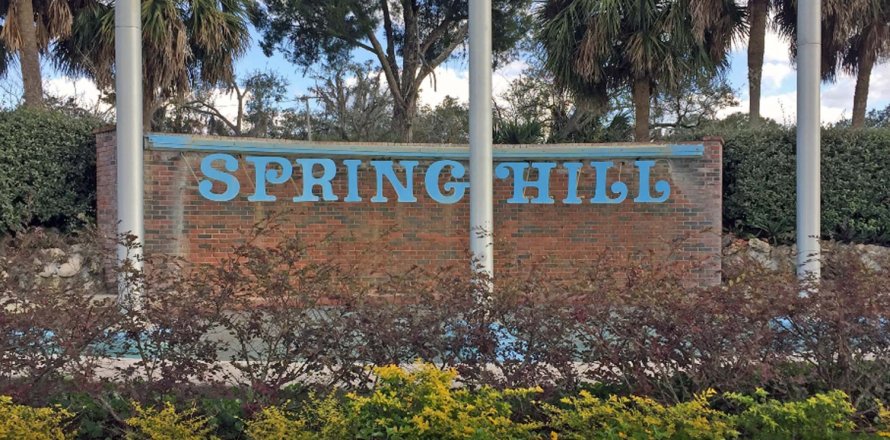 SPRING HILL in Spring Hill, Florida № 208175