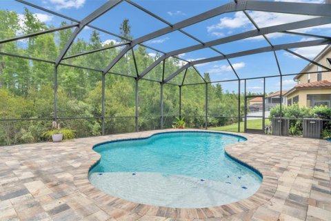 House in Land O' Lakes, Florida 6 bedrooms, 395.67 sq.m. № 2416478 - photo 13